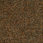 Flora 2_257  Kvadrat
